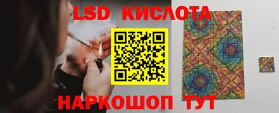 шишки Кимры