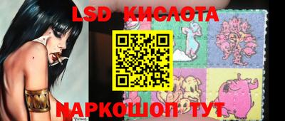шишки Кимры