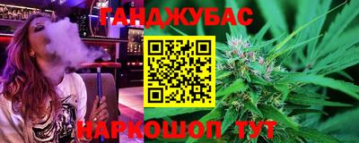 шишки Кимры
