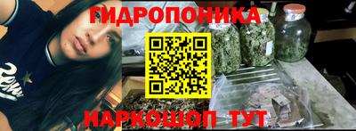 шишки Кимры