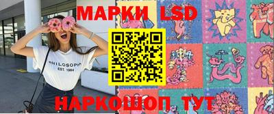 шишки Кимры