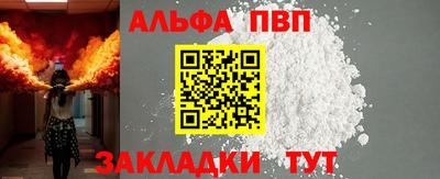 шишки Кимры