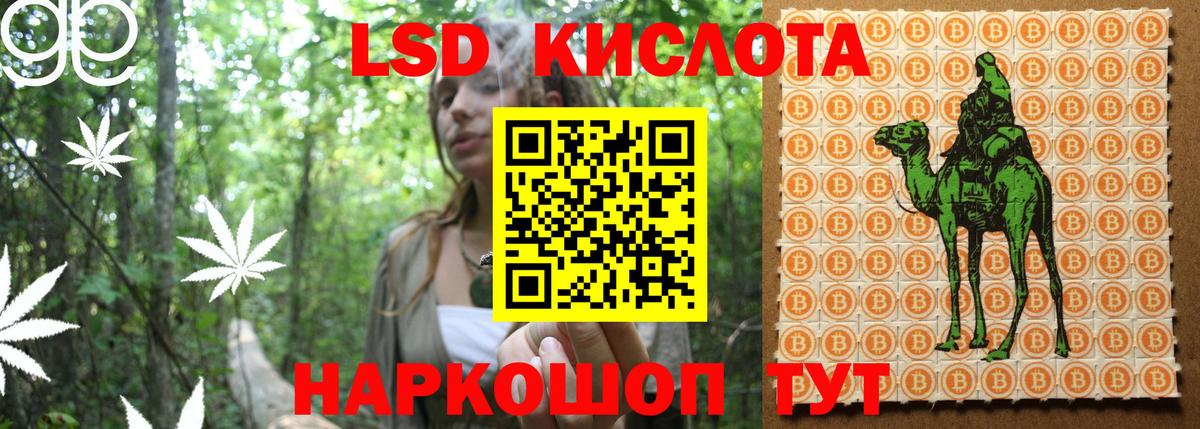 Марки NBOMe 1500мкг  Марки NBOMe 1500мкг  Коряжма  Вход с VPN 