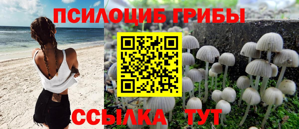 Галлюциногенные грибы прущие грибы  Вход с VPN  Коряжма 